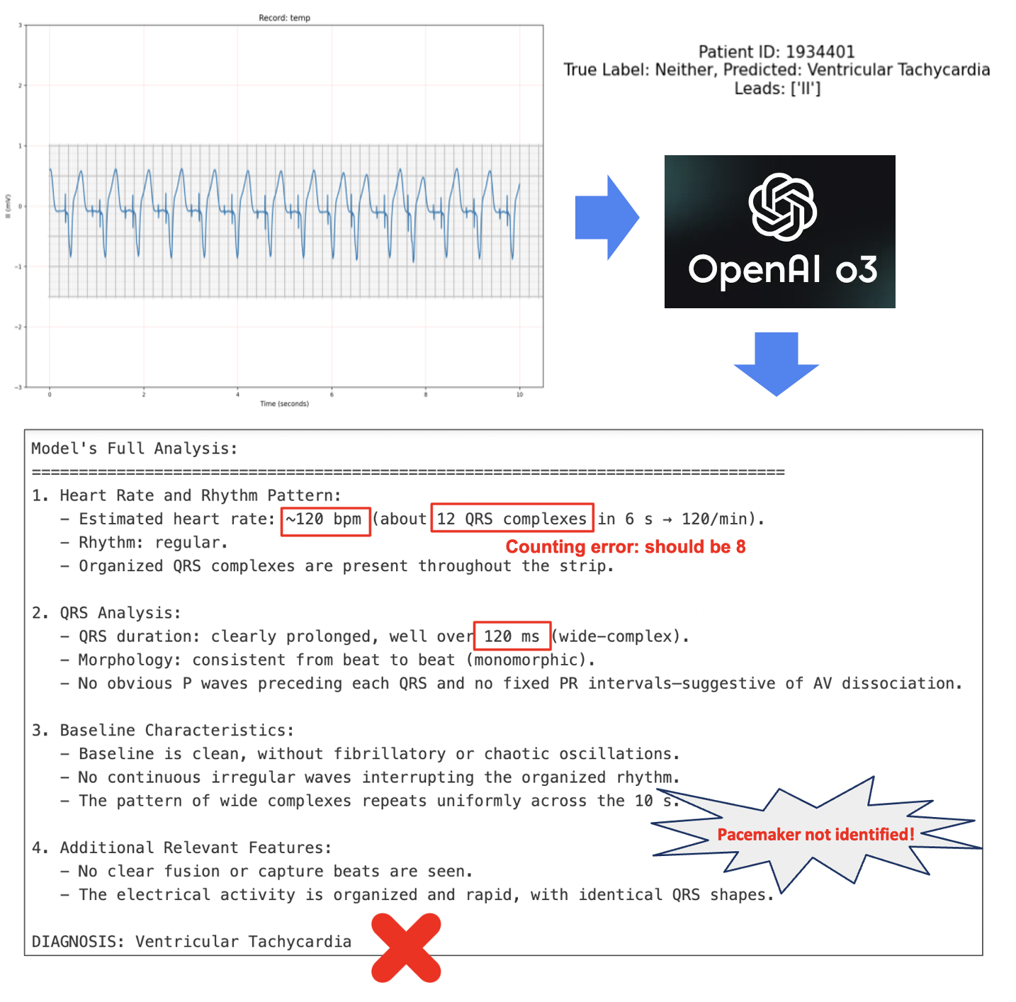 Hallucination Example